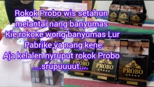 AJA KELALEN YA ROKOKE PROBO PABRIKE NANG BANYUMAS